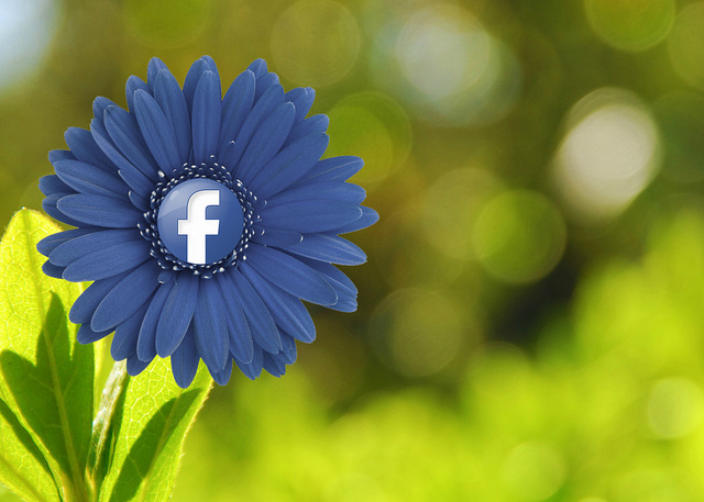 интернет-магазин в Facebook
