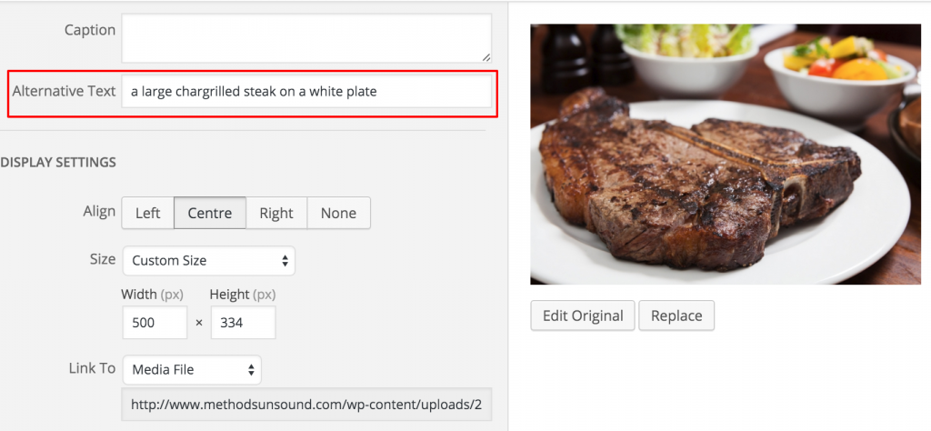 alt-tag-example-in-wordpress-1024x474