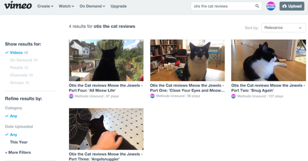otis-the-cat-reviews-in-videos-on-Vimeo-поисковых-систем