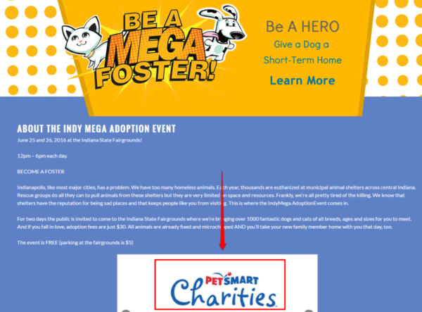 Charity1-with-box-1-800x591